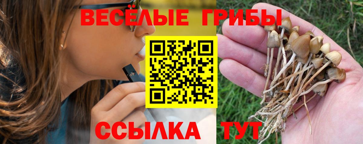 Сальск  Галлюциногенные грибы Magic Shrooms  Вход с VPN 